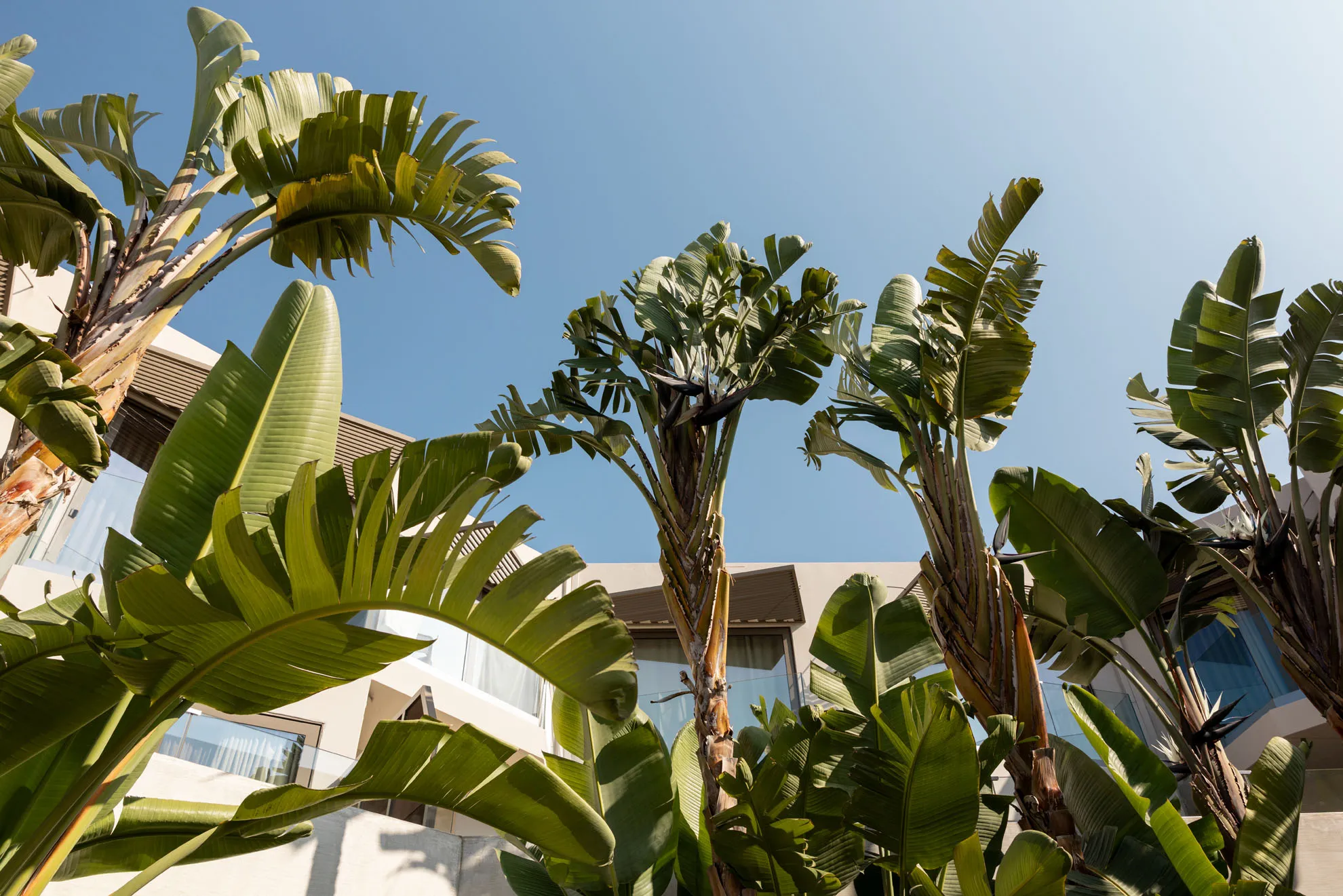 Nefeli Hotel 4-star exterior, swimming pool and grounds in Platanias, Rethymno