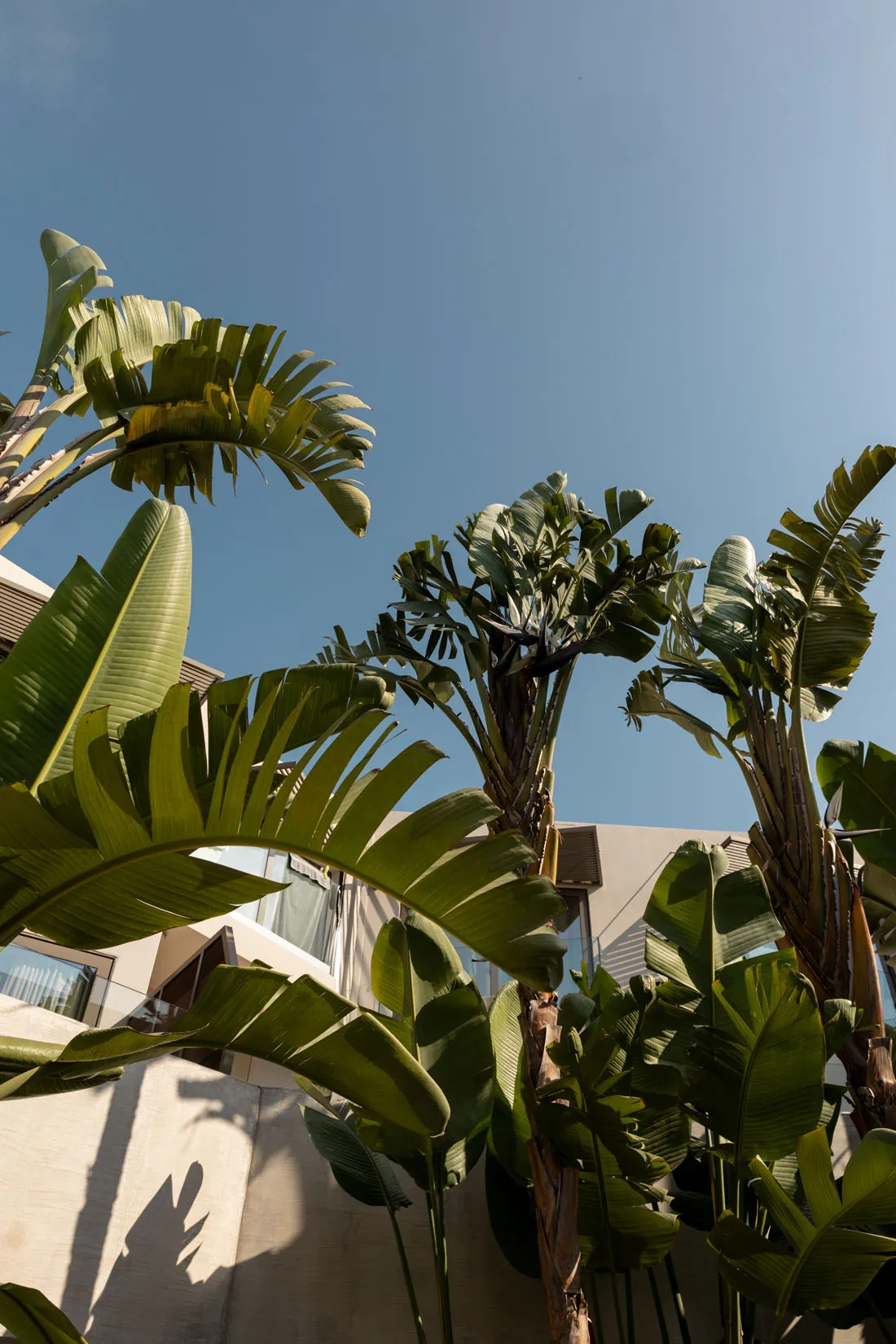 Nefeli Hotel 4-star exterior, swimming pool and grounds in Platanias, Rethymno